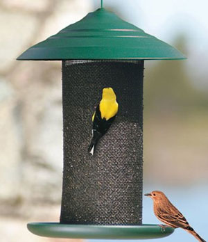 Woodlink Steel Magnum Thistle Feeder Stmag4grt Northwest Nature Shop