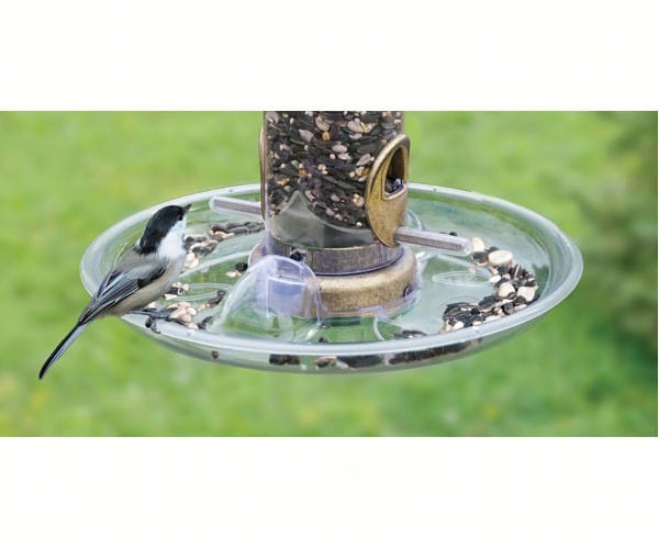 Aspects Quick Clean Seed Tray