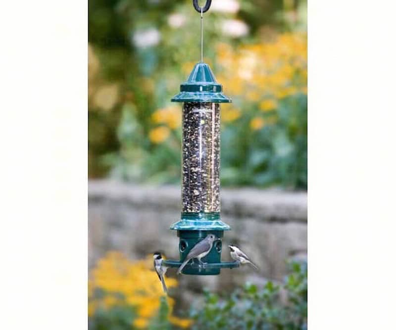 Brome Squirrel Buster Classic Squirrel Proof Feeder #1015 Squirrel Proof