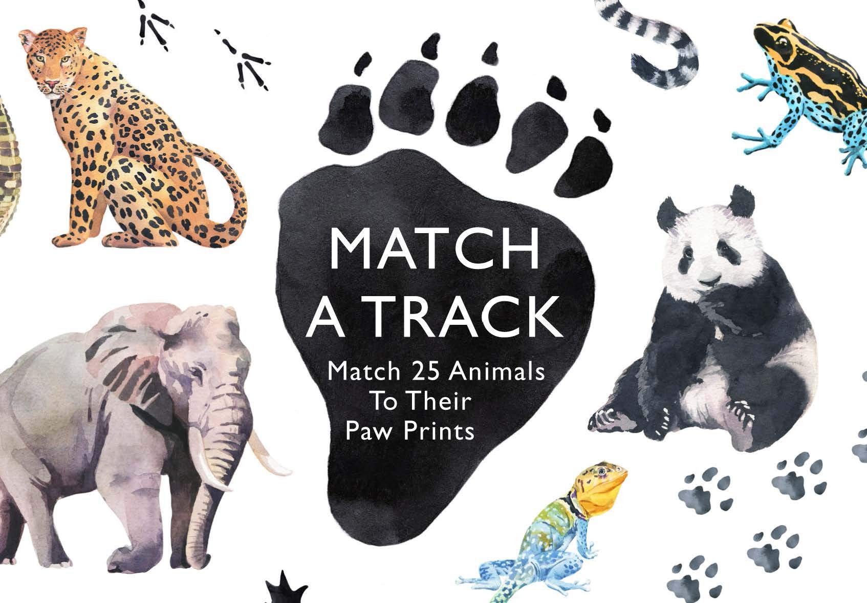 Match a Track Matching Game - Northwest Nature Shop