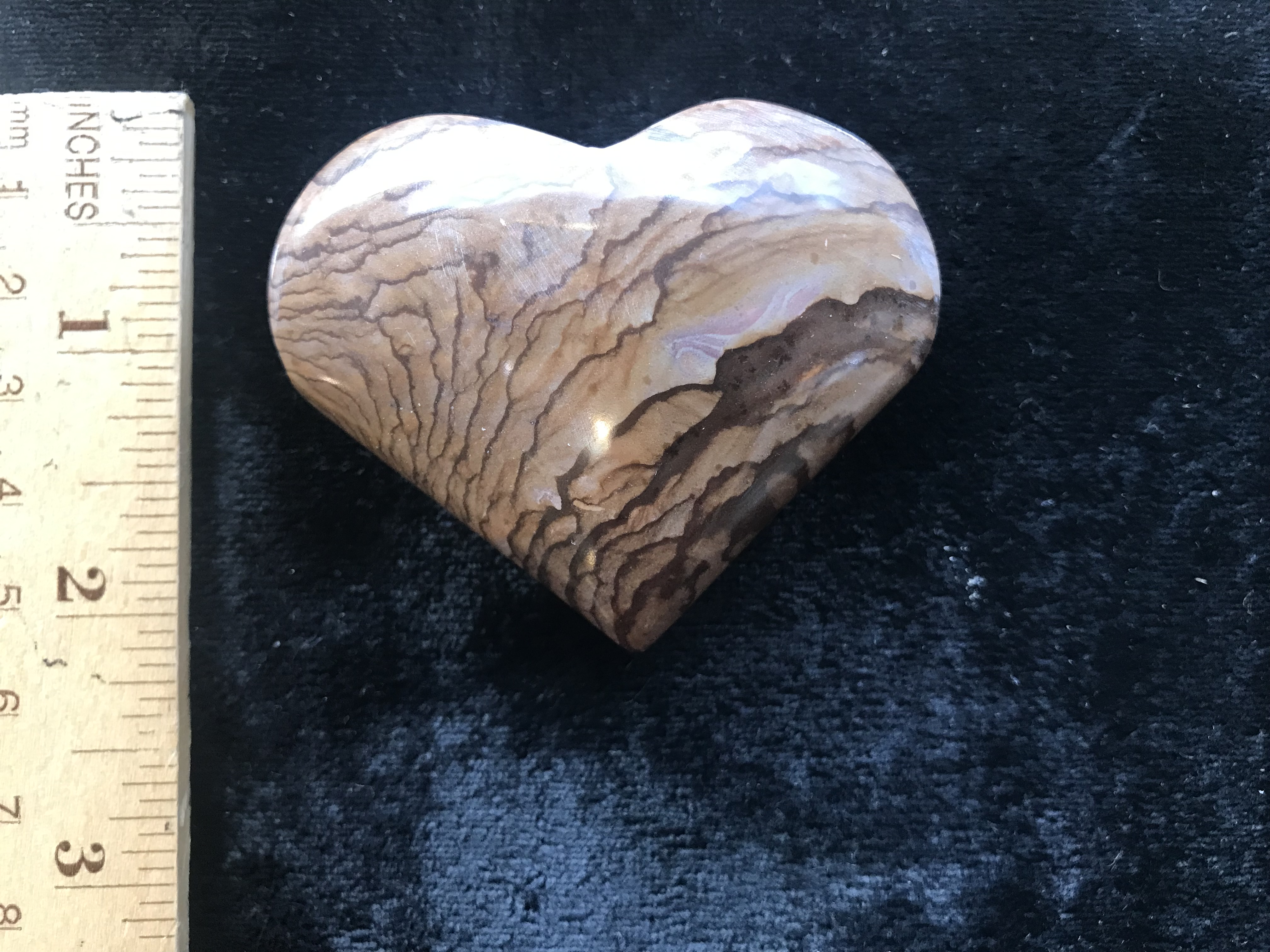 picture jasper at Northwest Nature Shop in Ashland Oregon