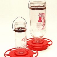 Best 1 Hummingbird Feeder 8 Ounce